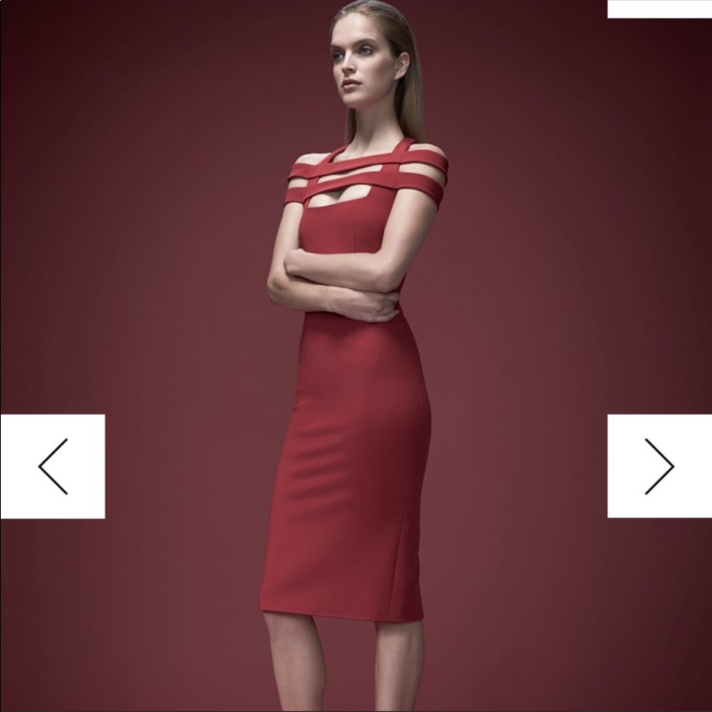 Cushnie et Ochs amazing red dress!
